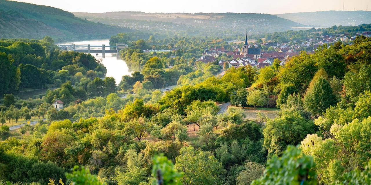 Weingut Martin Blass 호텔 얼라번 외부 사진